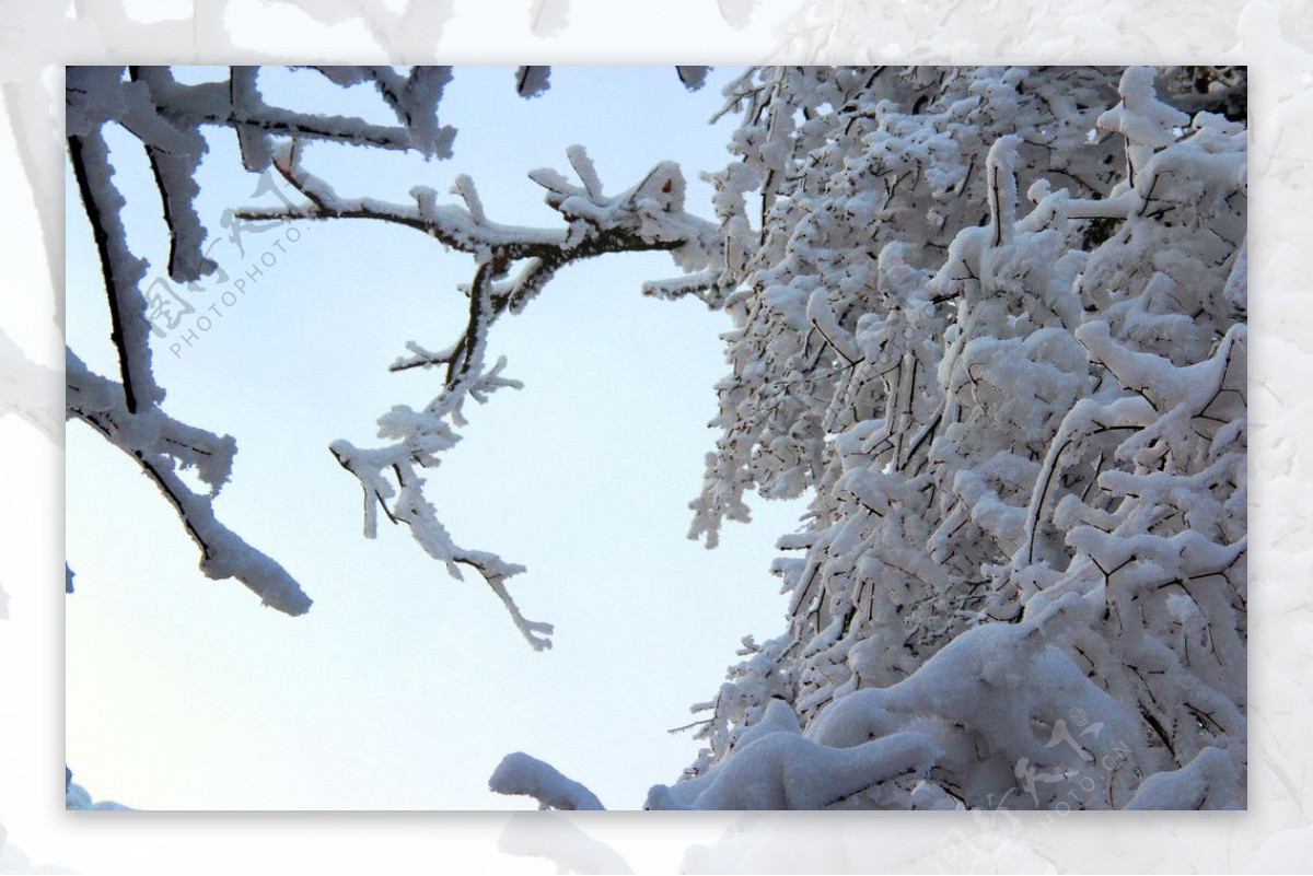 雪景峨眉山图片