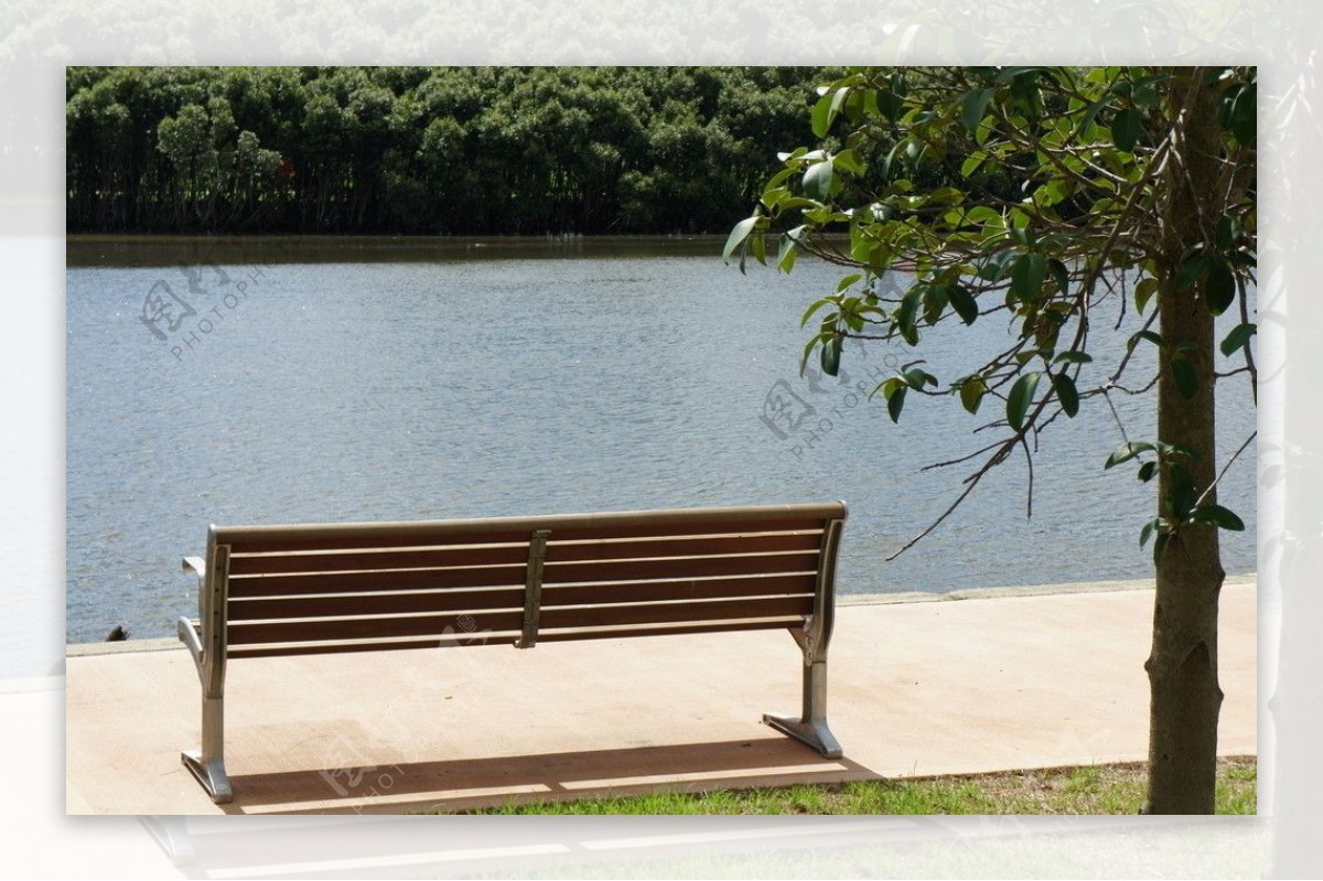 帕拉玛塔河边的长椅图片
