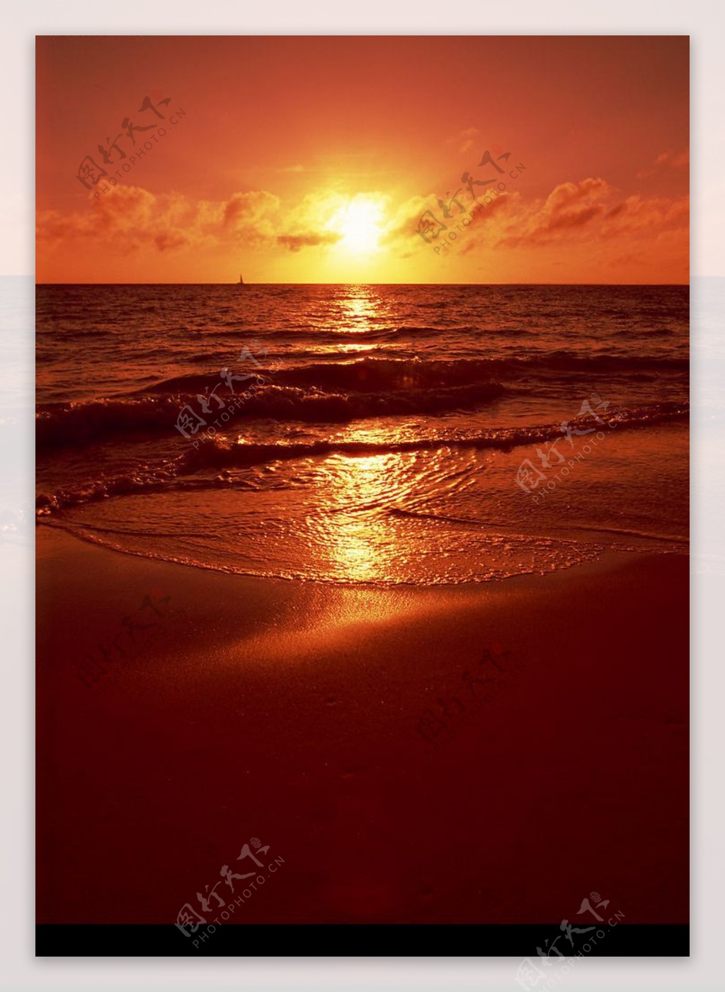 日落的海邊图片