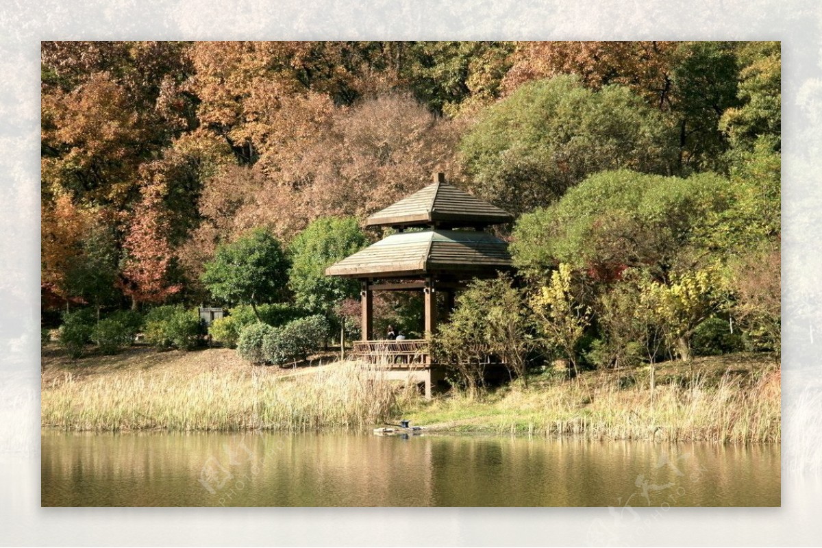 南京琵琶湖秋色图片