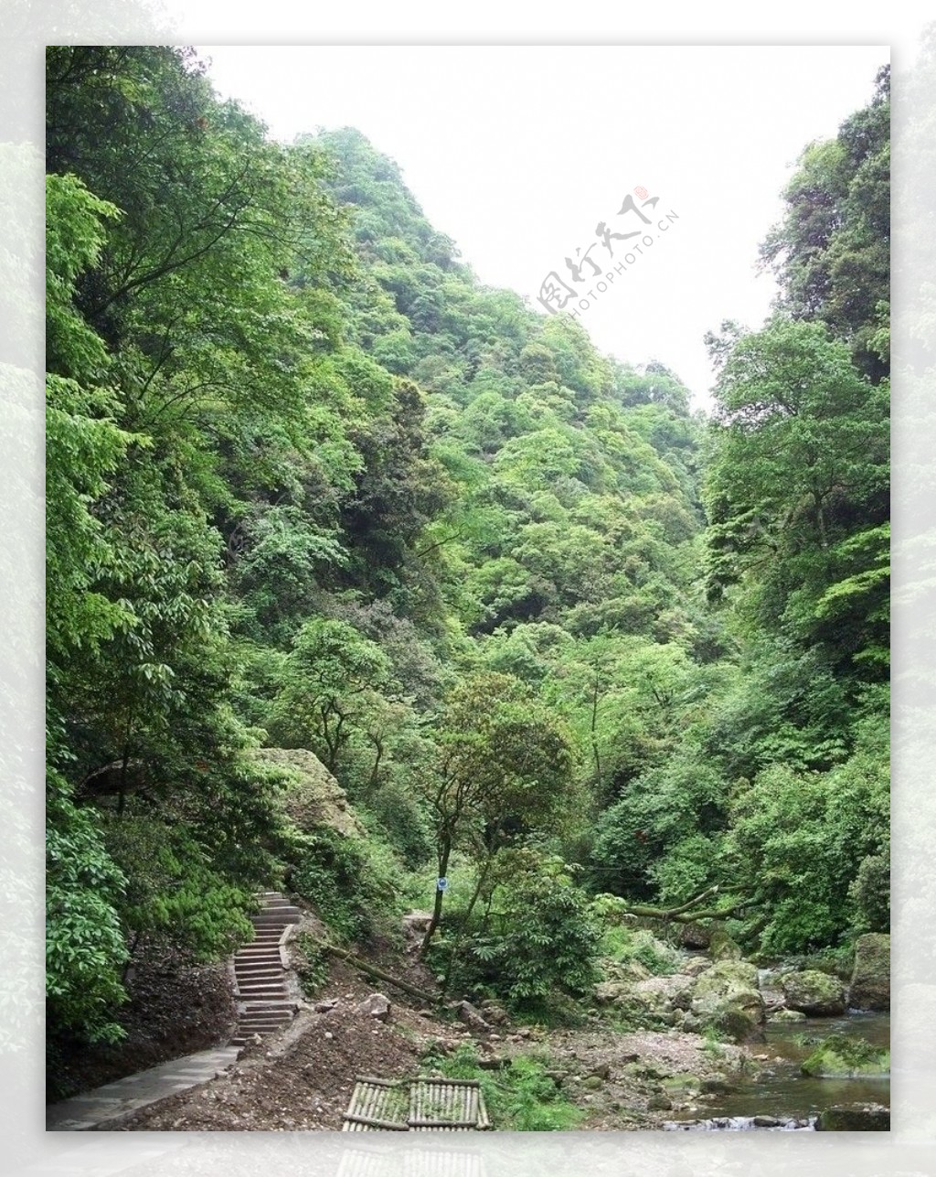 青城山水图片