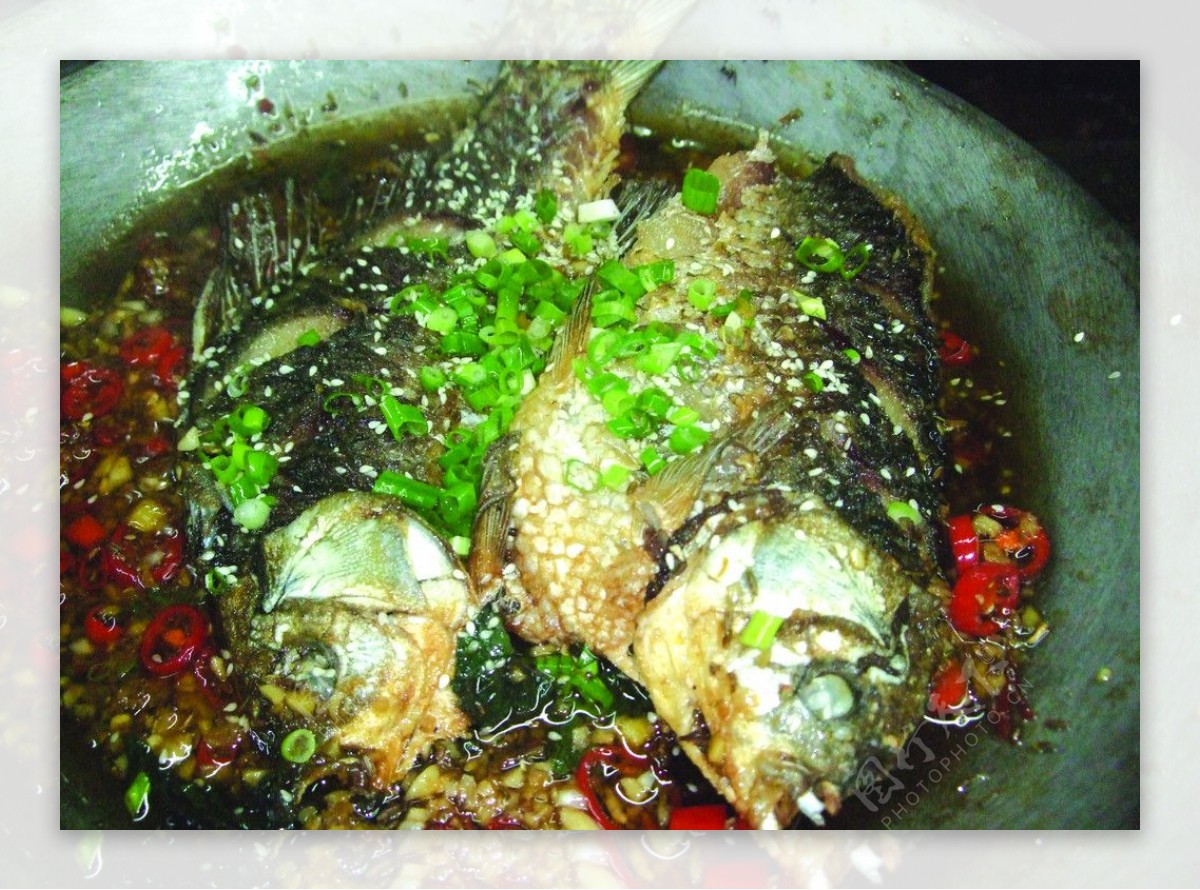 平锅鲫鱼图片
