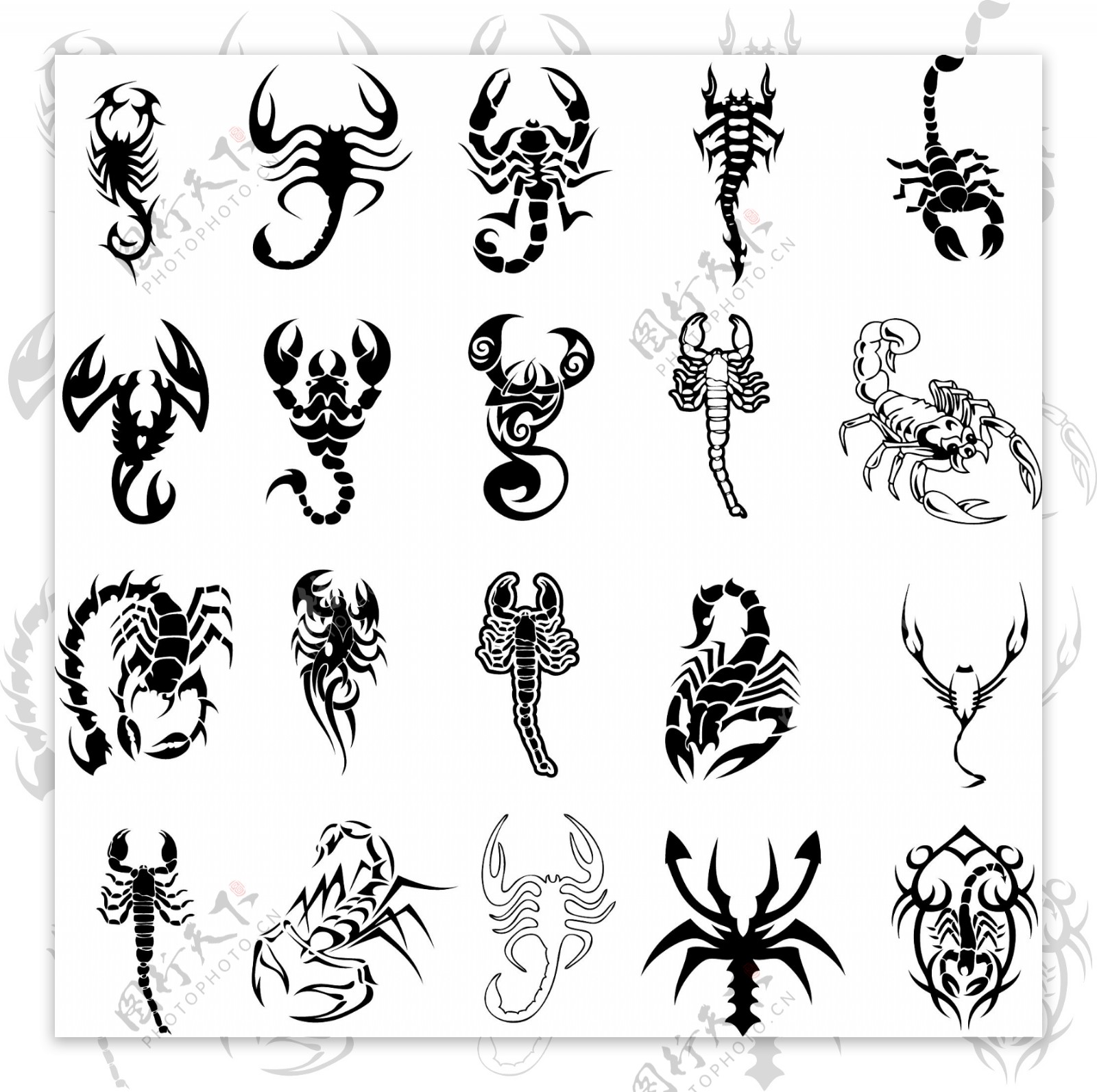 蝎子手绘草图 纹身动物 矢量插图 向量例证. 插画 包括有 昆虫, 查出, 例证, 蜘蛛纲的动物, 图标 - 197701548