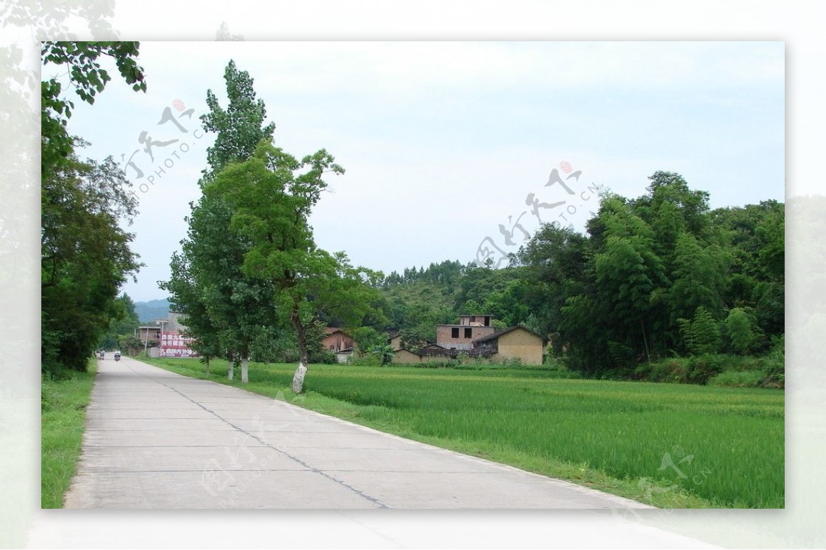 乡村马路图片