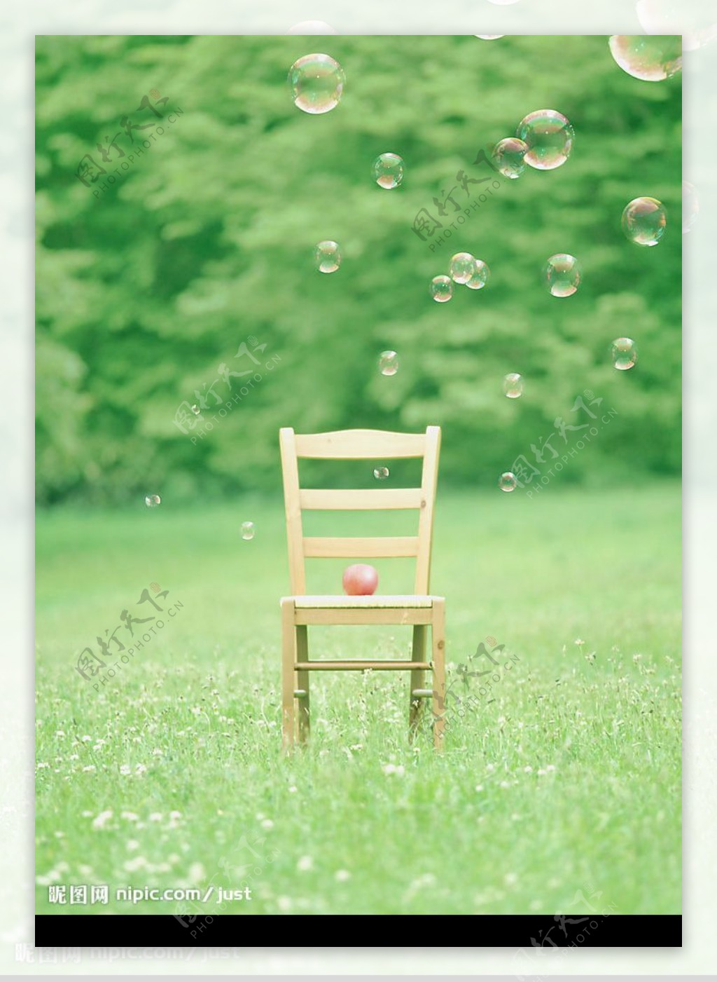 绿草地上的椅子图片