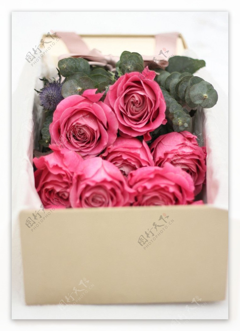 玫瑰花盒图片