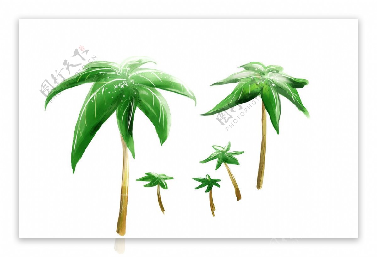 卡通椰子树图片素材-编号38956446-图行天下