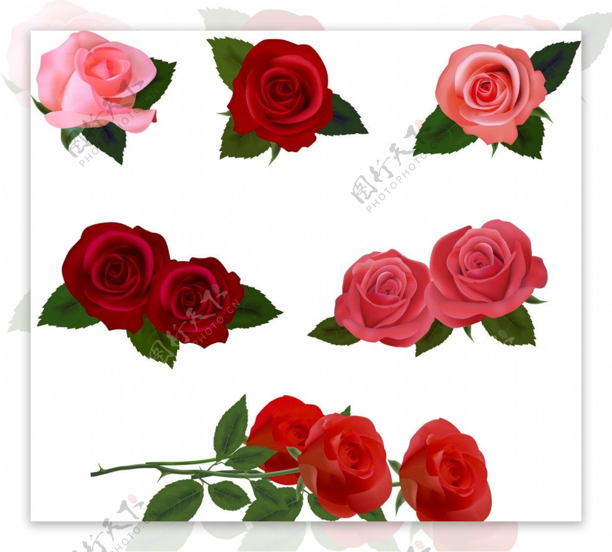 爱心玫瑰花矢量素材图片