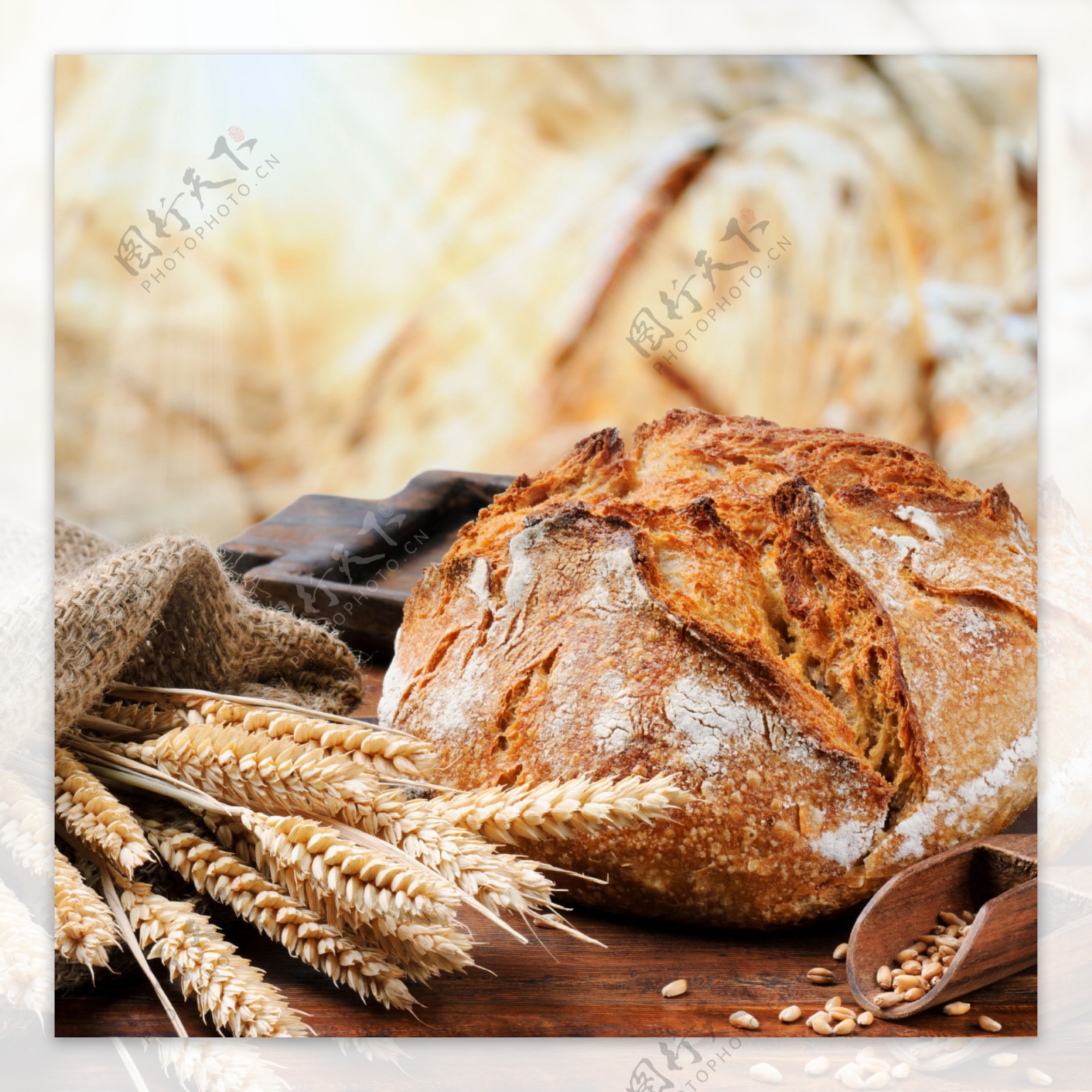 小麦烤面包干粮图片