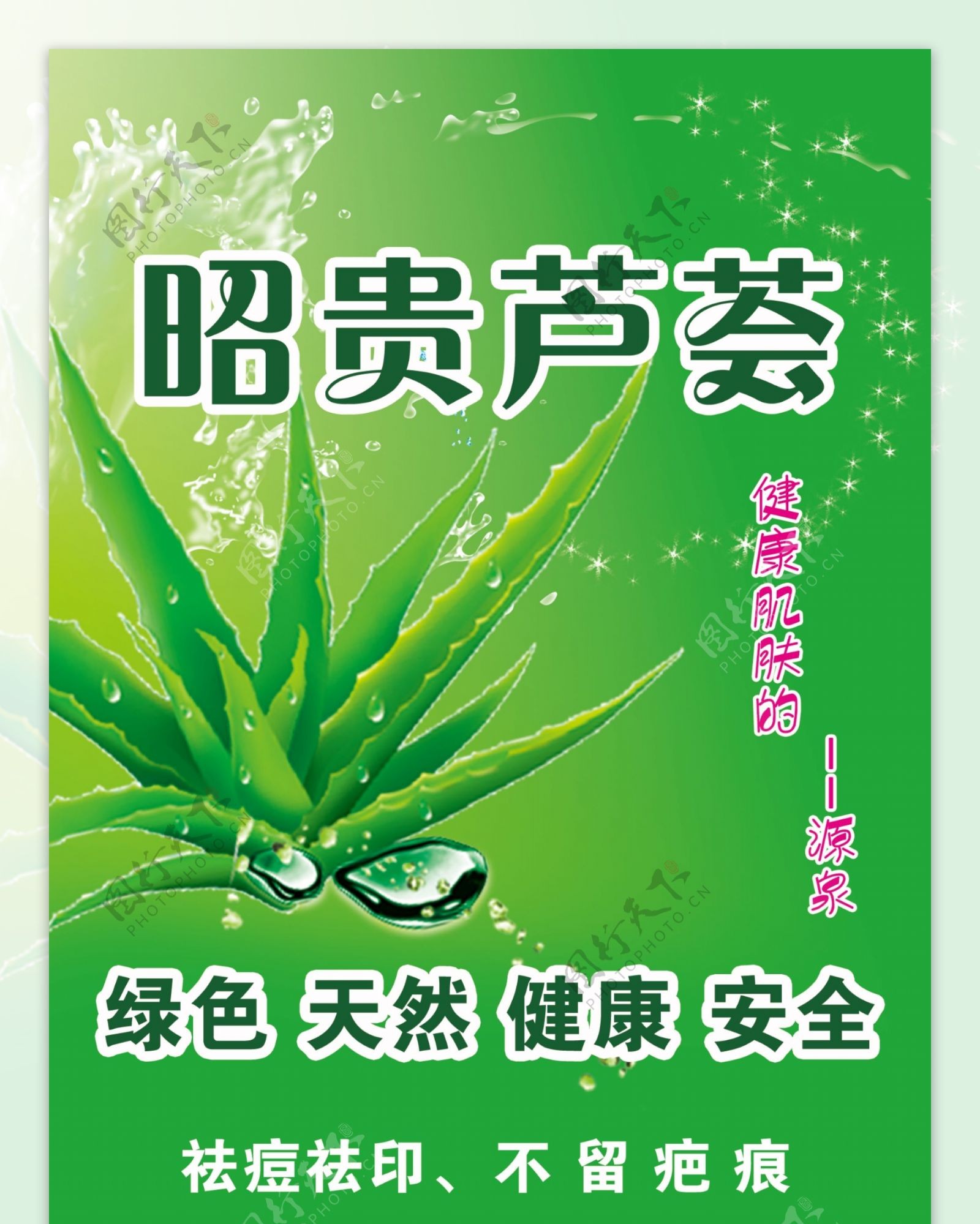 昭贵芦荟展架图片