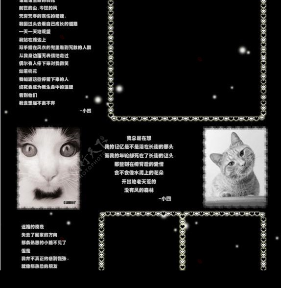 QQ空间超长可爱猫咪模板图片
