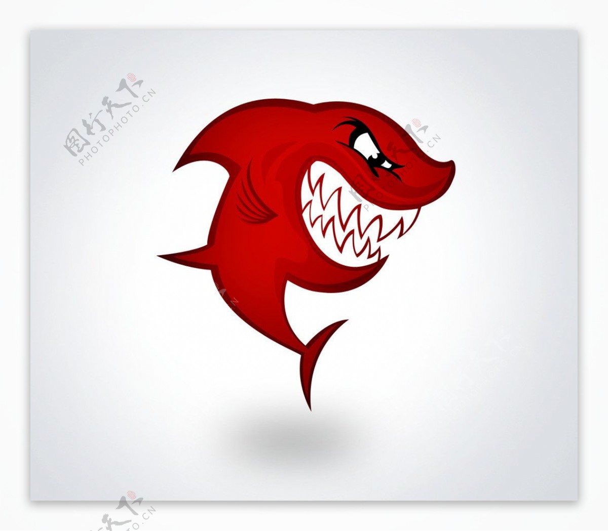 红色鲨鱼图片