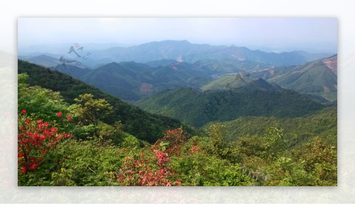 连绵青山图片