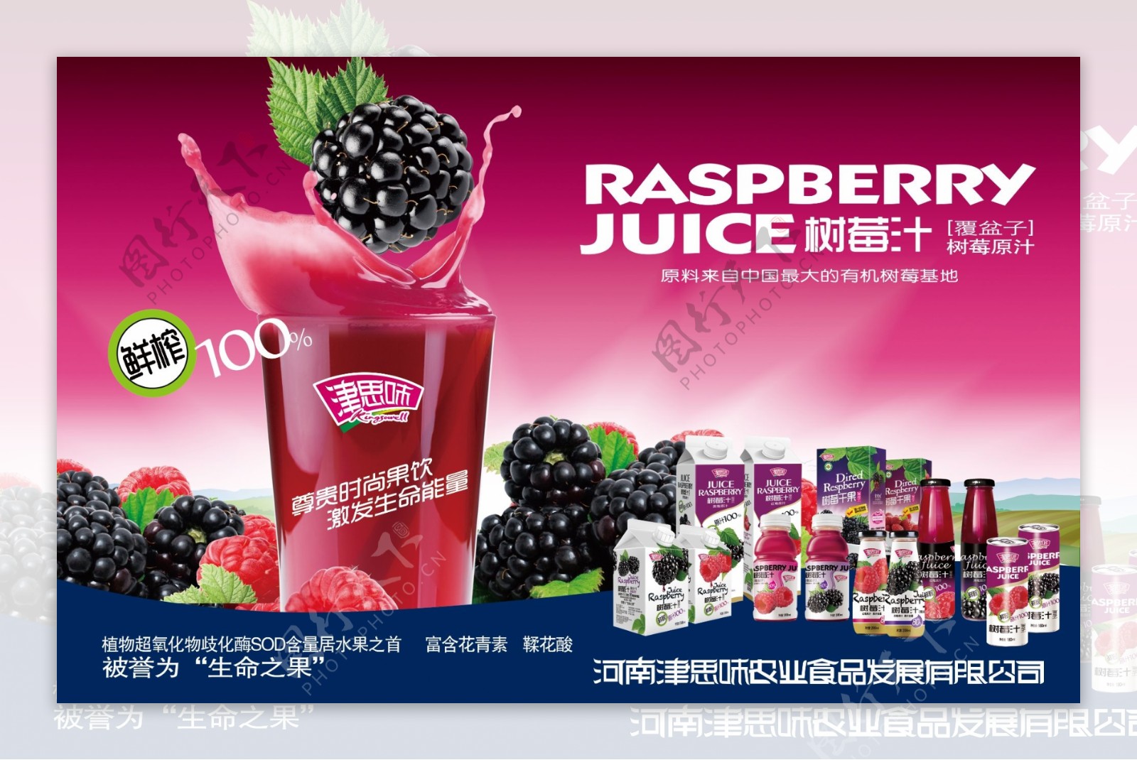 津思味树莓汁图片