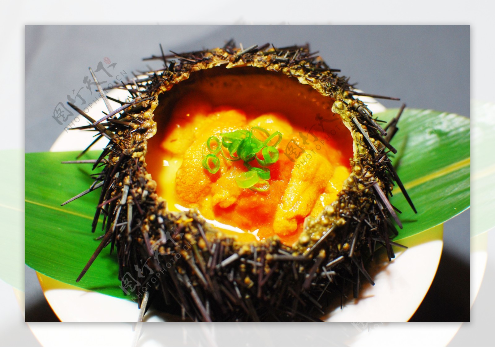 海胆蒸蛋日本料理图片