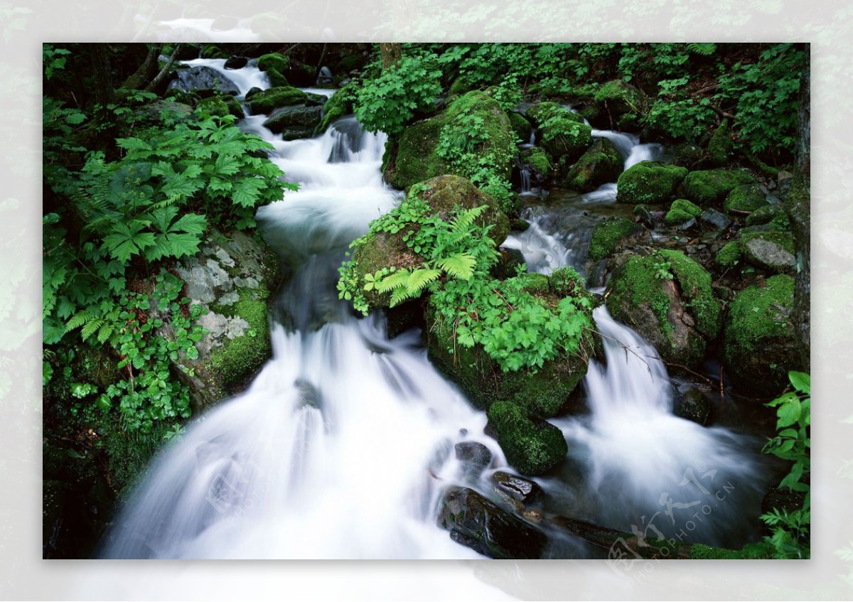 山水瀑布风景绿林图片