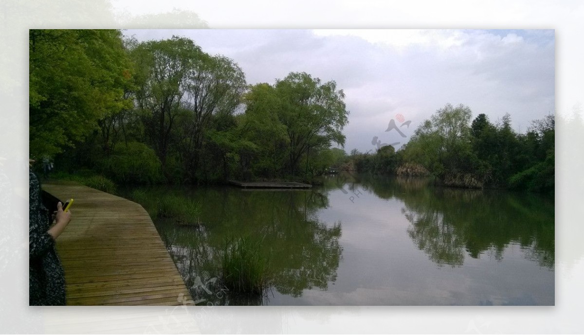 杭州西溪湿地公园图片