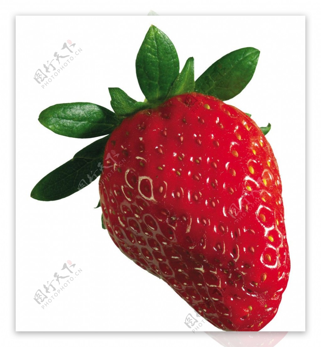 草莓图片