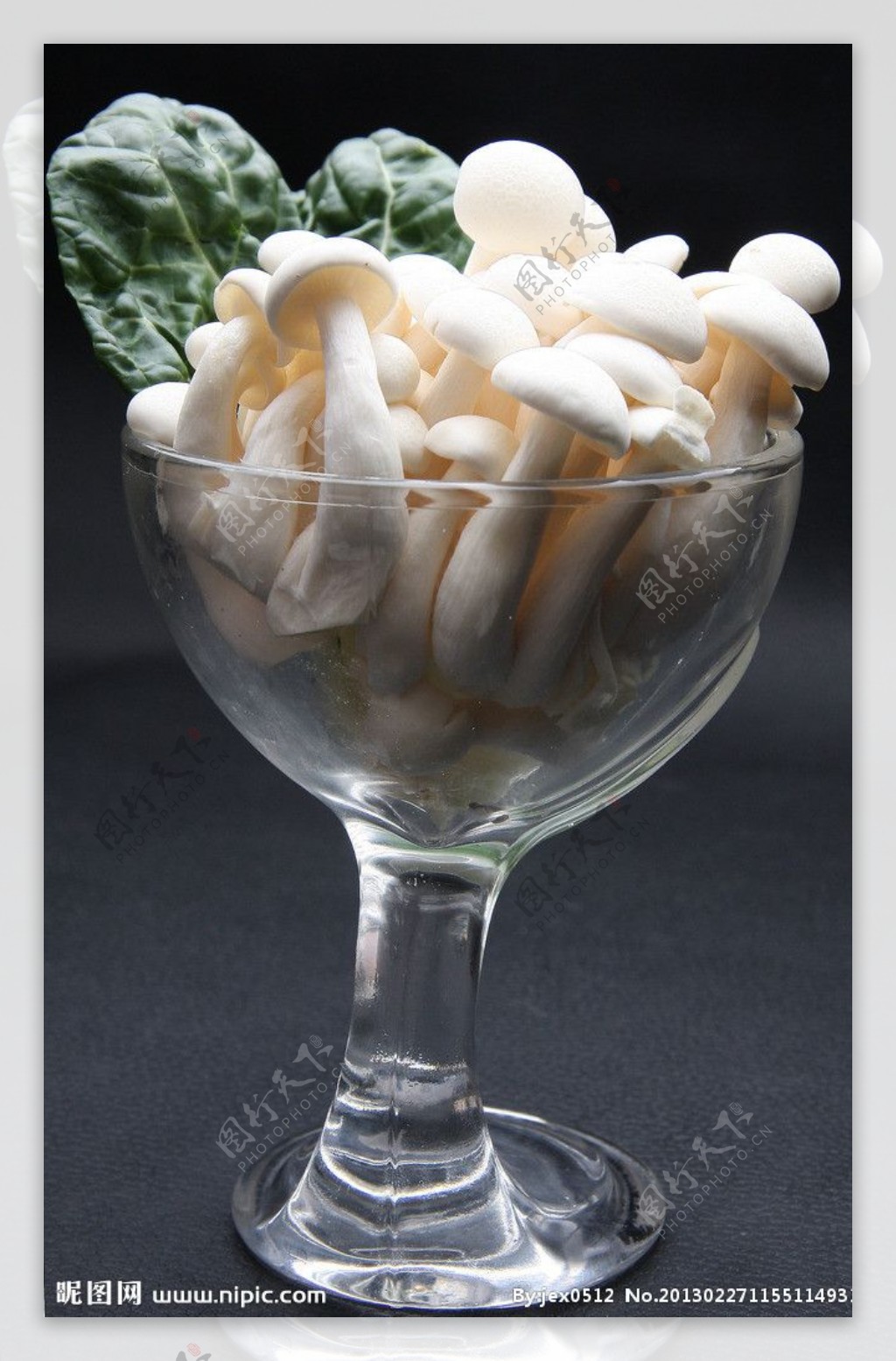 炒白玉菇怎么做_炒白玉菇的做法_悠悠小厨Z_豆果美食