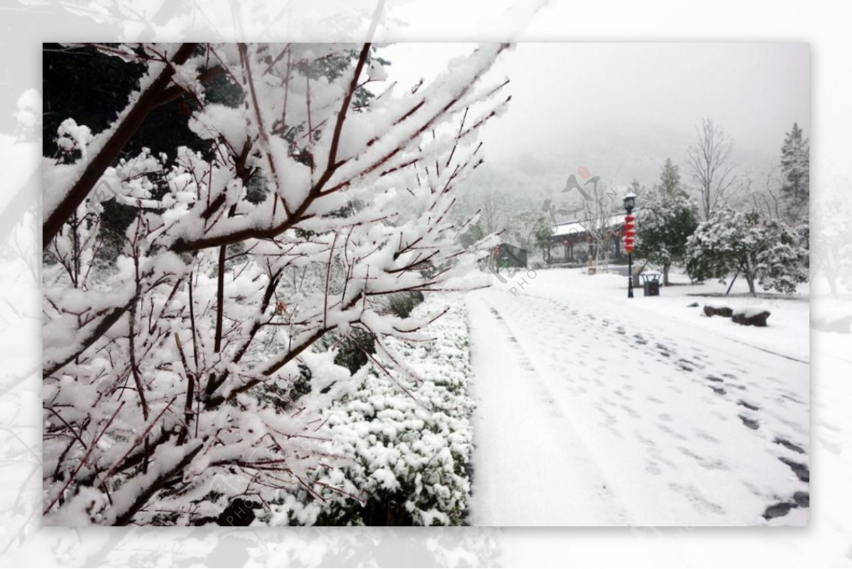 塔山森林公园雪景图片