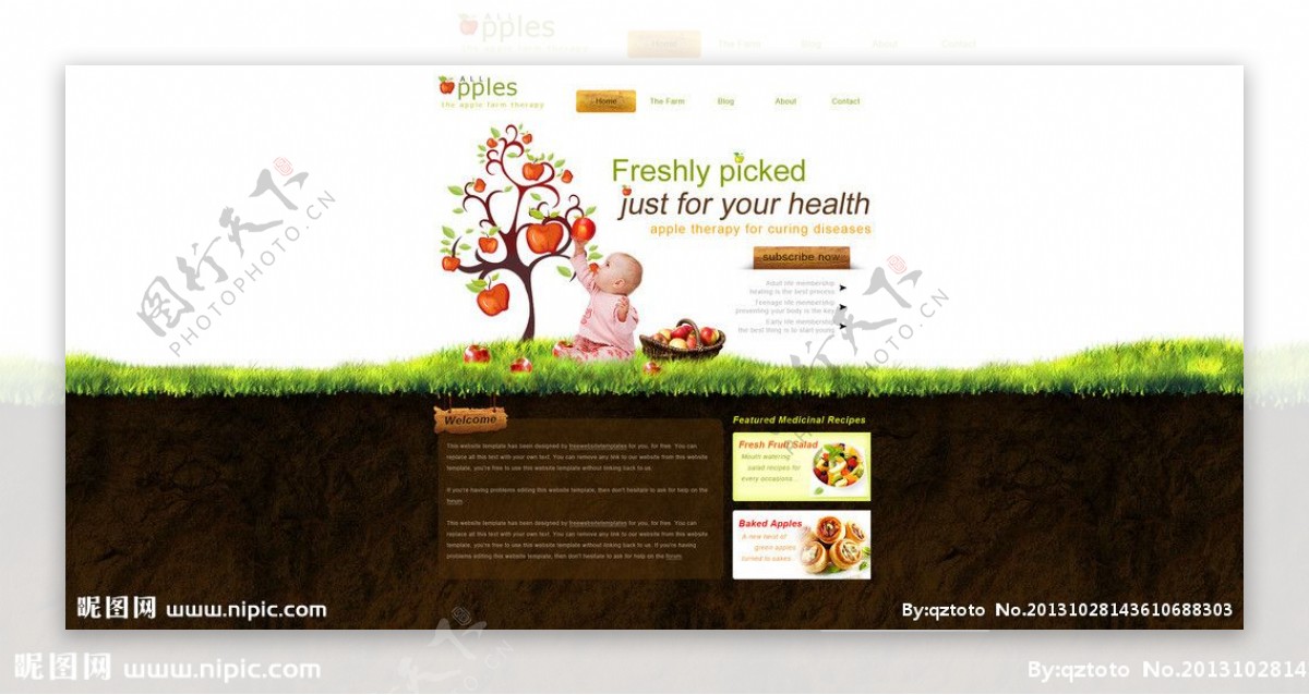 饮食网页设计图片