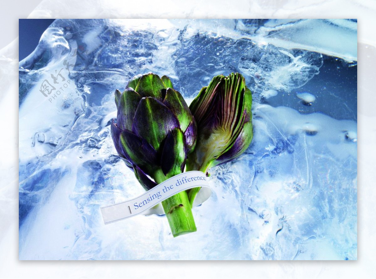 冰水中的蔬菜图片