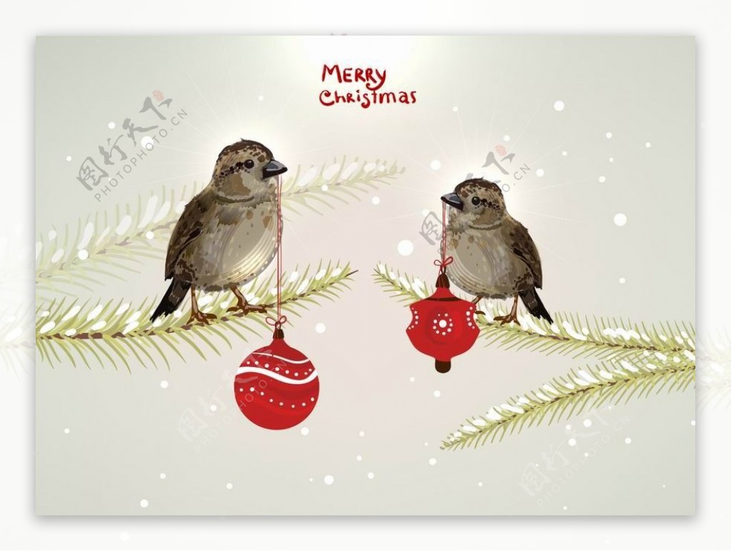 浪漫枝头小鸟圣诞背景图片