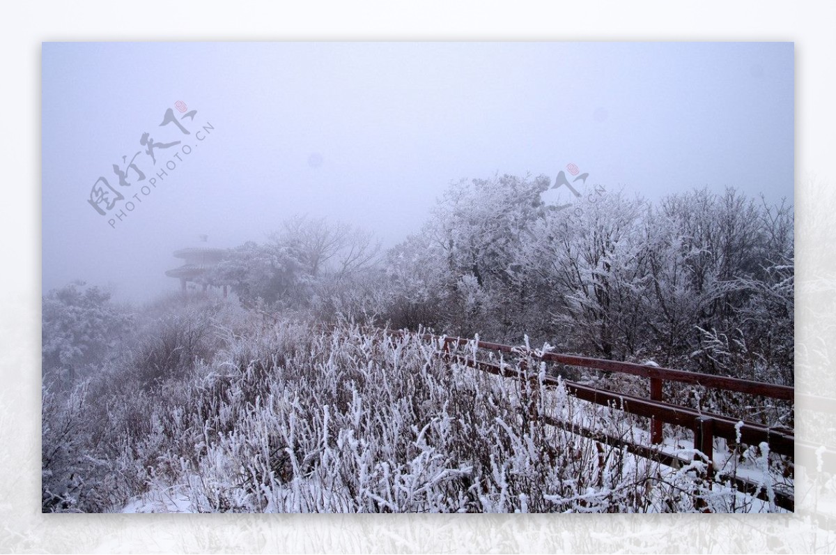 渑池韶山雪景图片