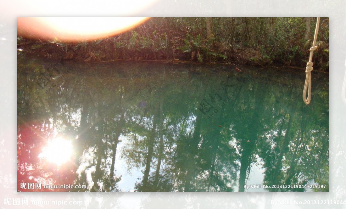 河边池塘树木图片