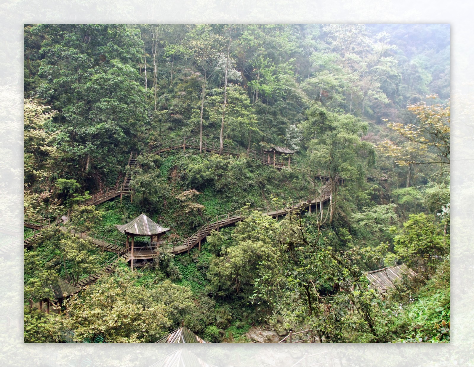 自然风景图片