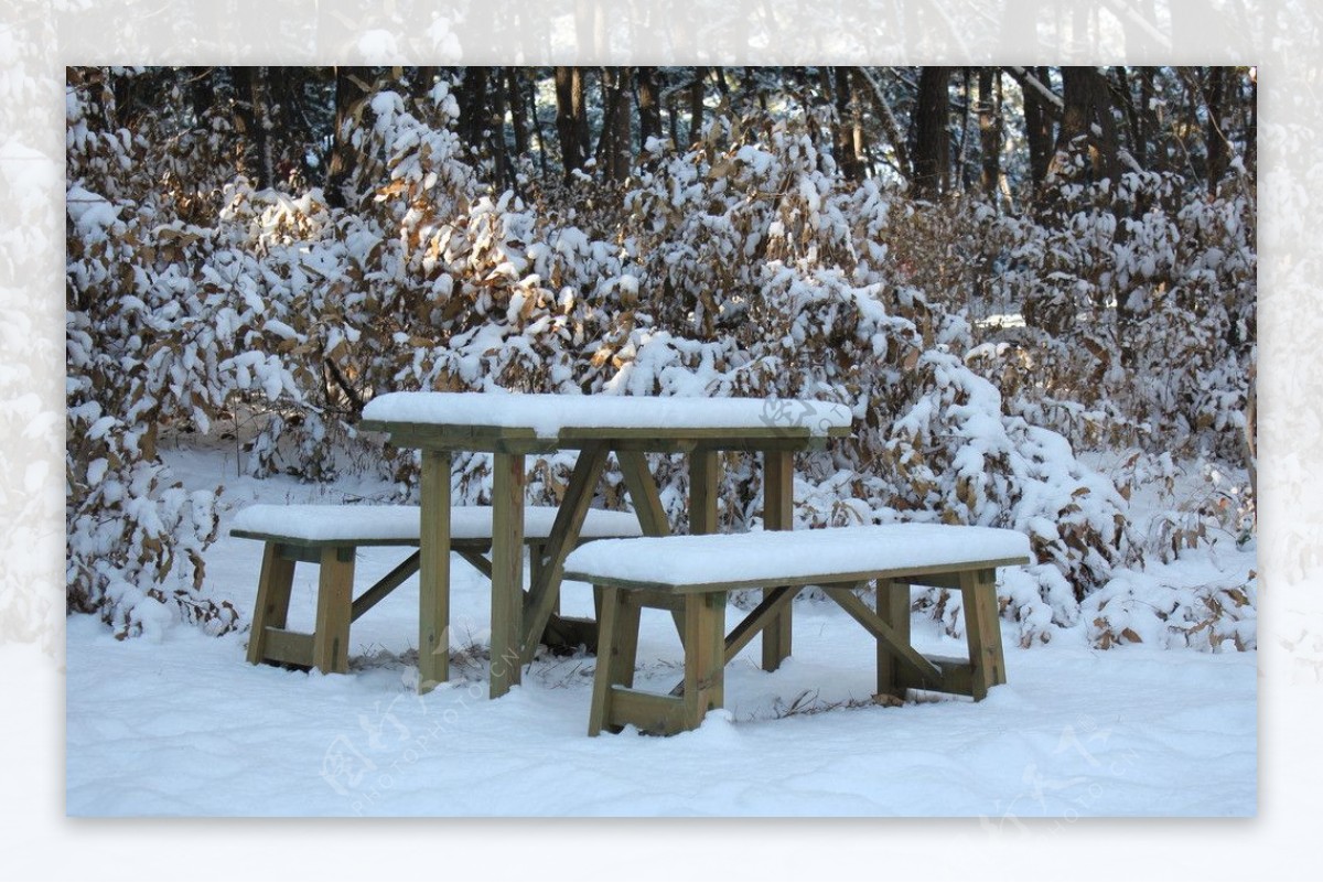 雪地公园图片