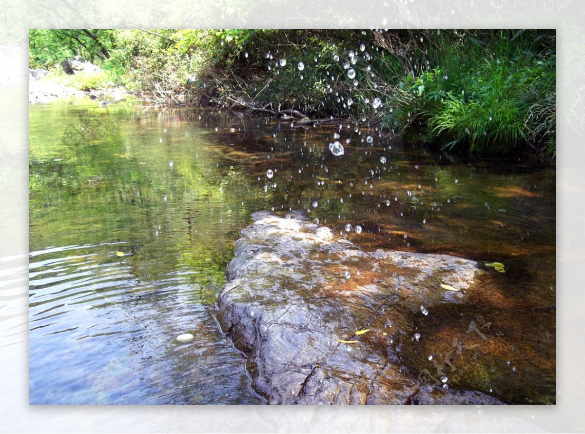 溪石水珠图片