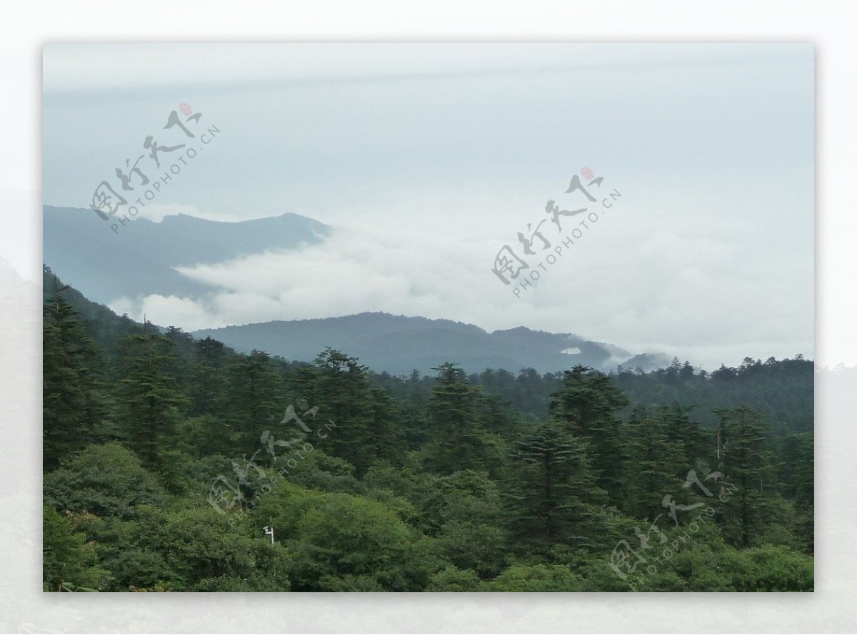 青山云雾图片