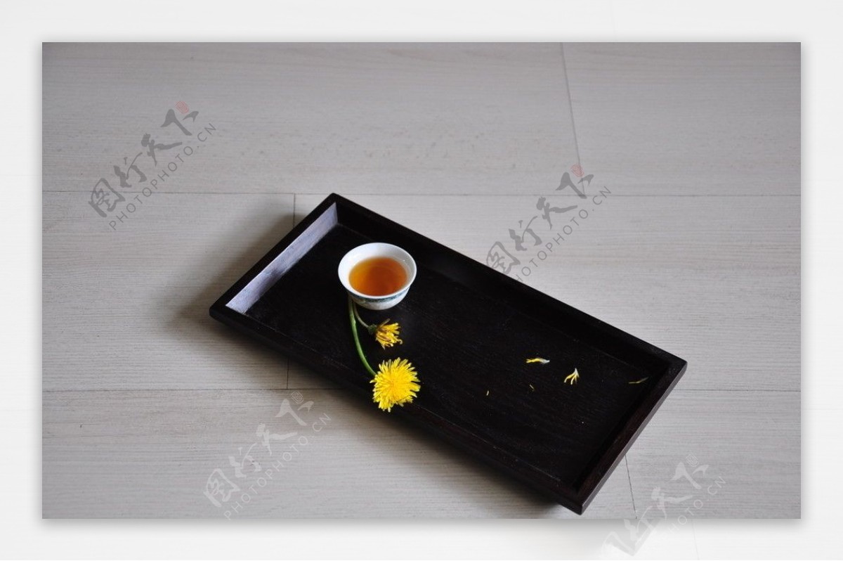 茶和菊图片