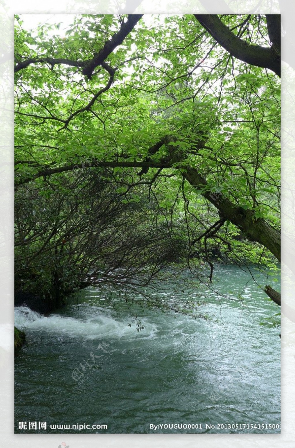溪水潺潺图片