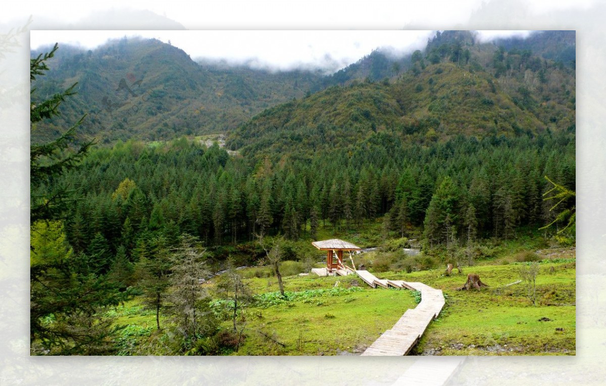 高山草原图片