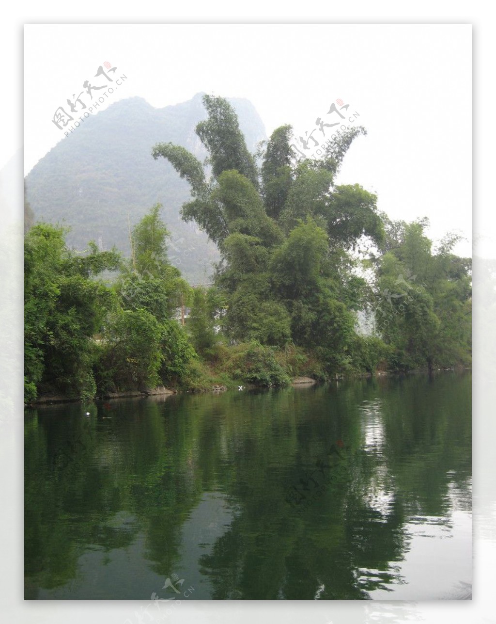 桂林山水之遇龙河植物绿树图片