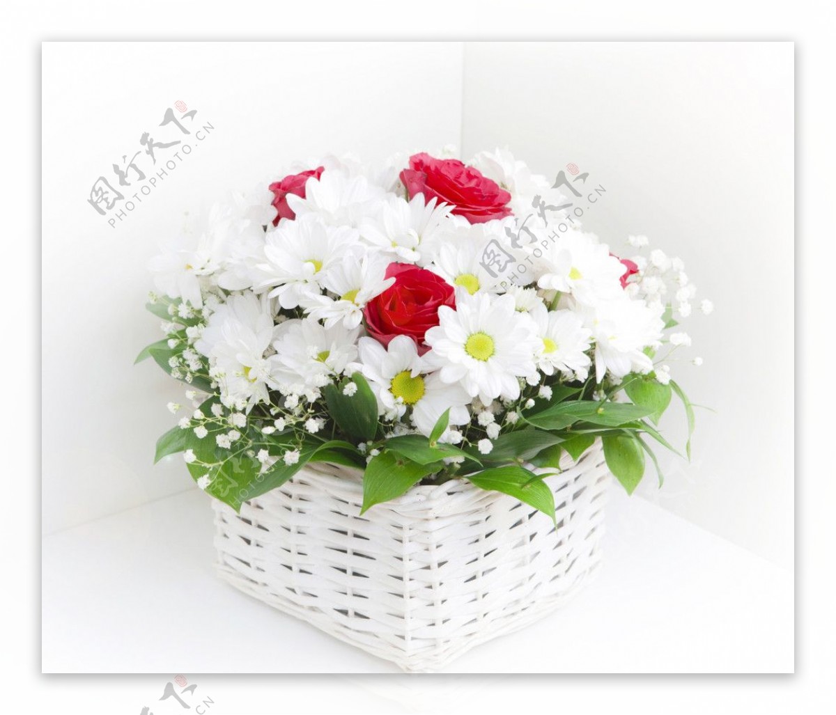 红玫瑰白菊花篮图片