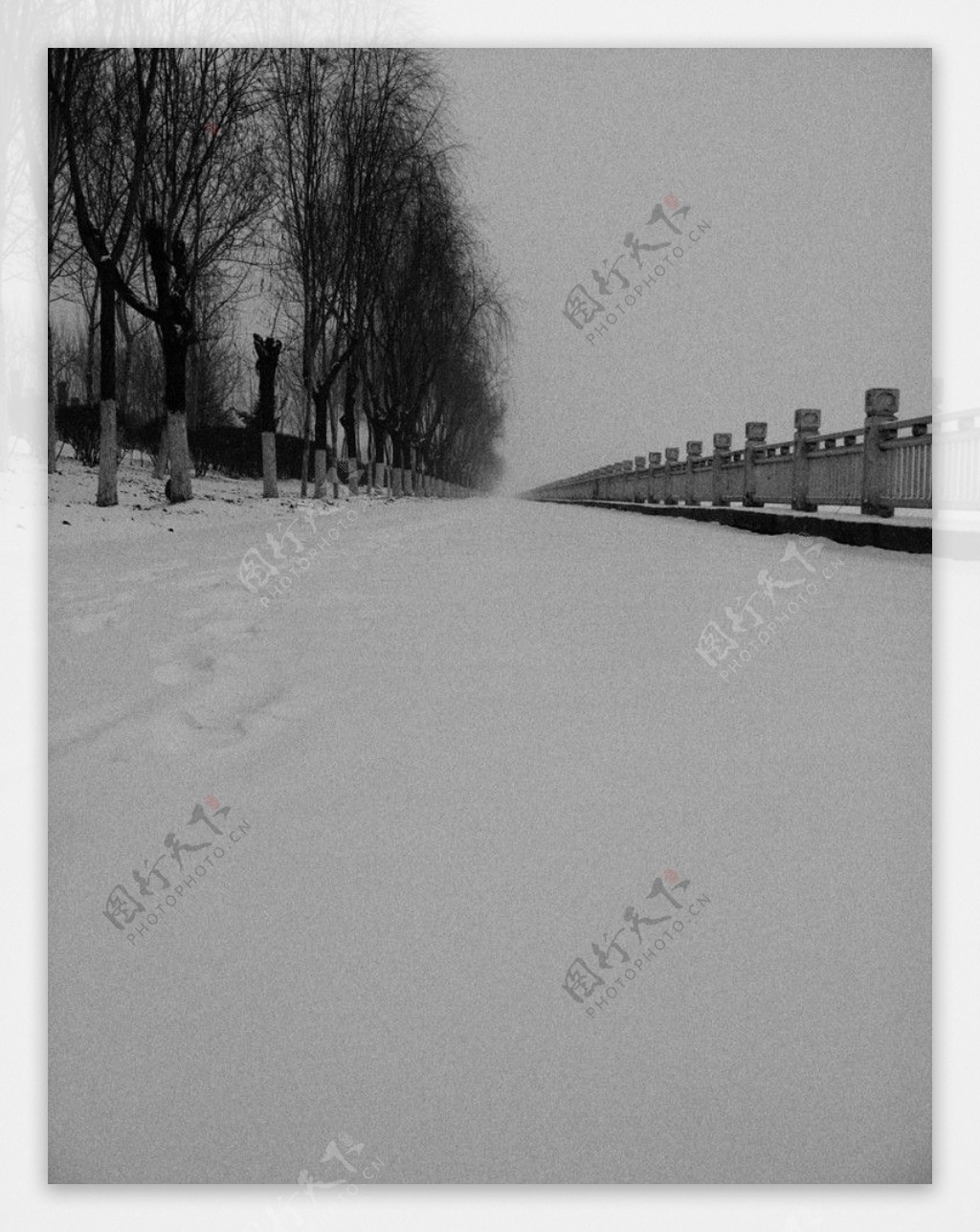 河畔初雪图片