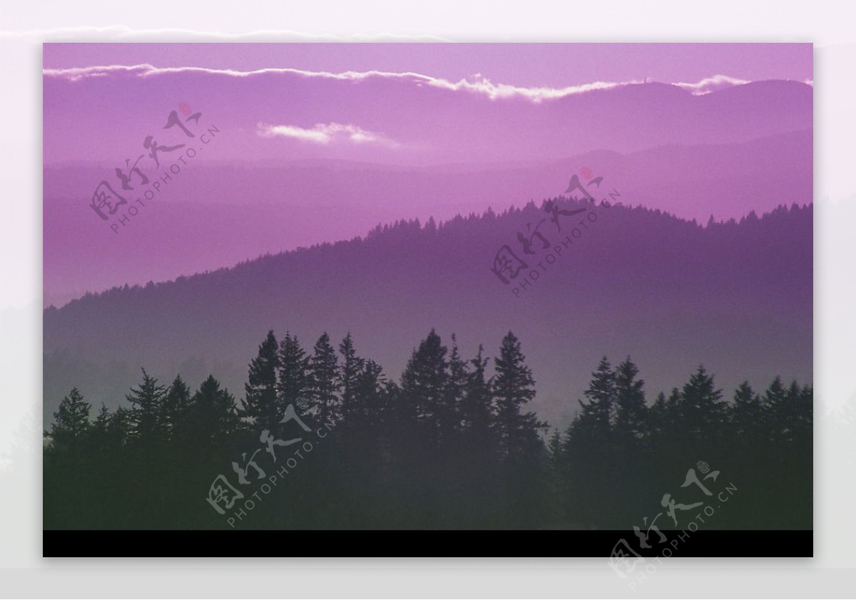 紫色江山图片