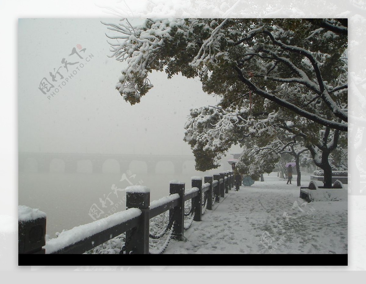 婺江边的雪景图片
