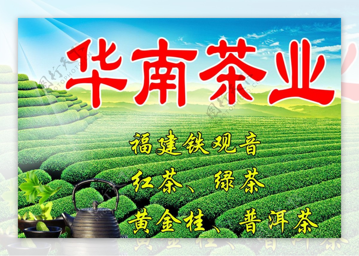 华南茶业招牌图片