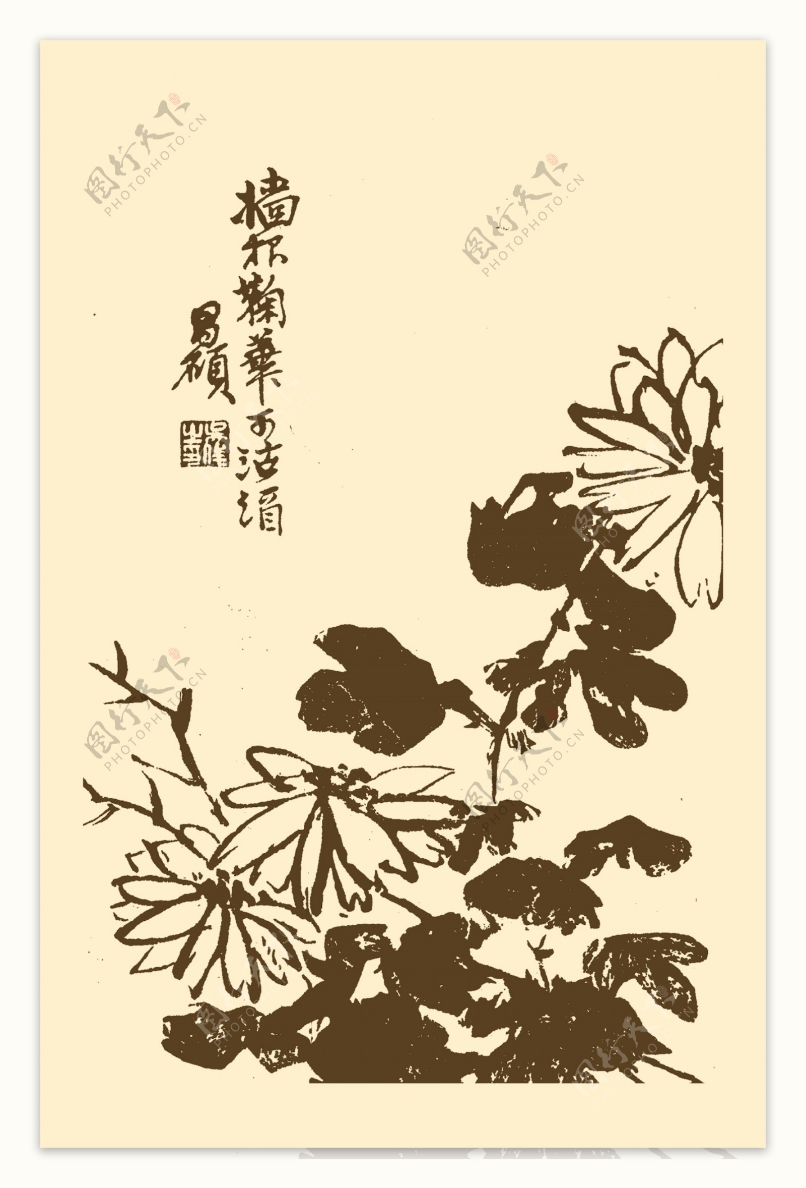 芥子园画谱菊花图片