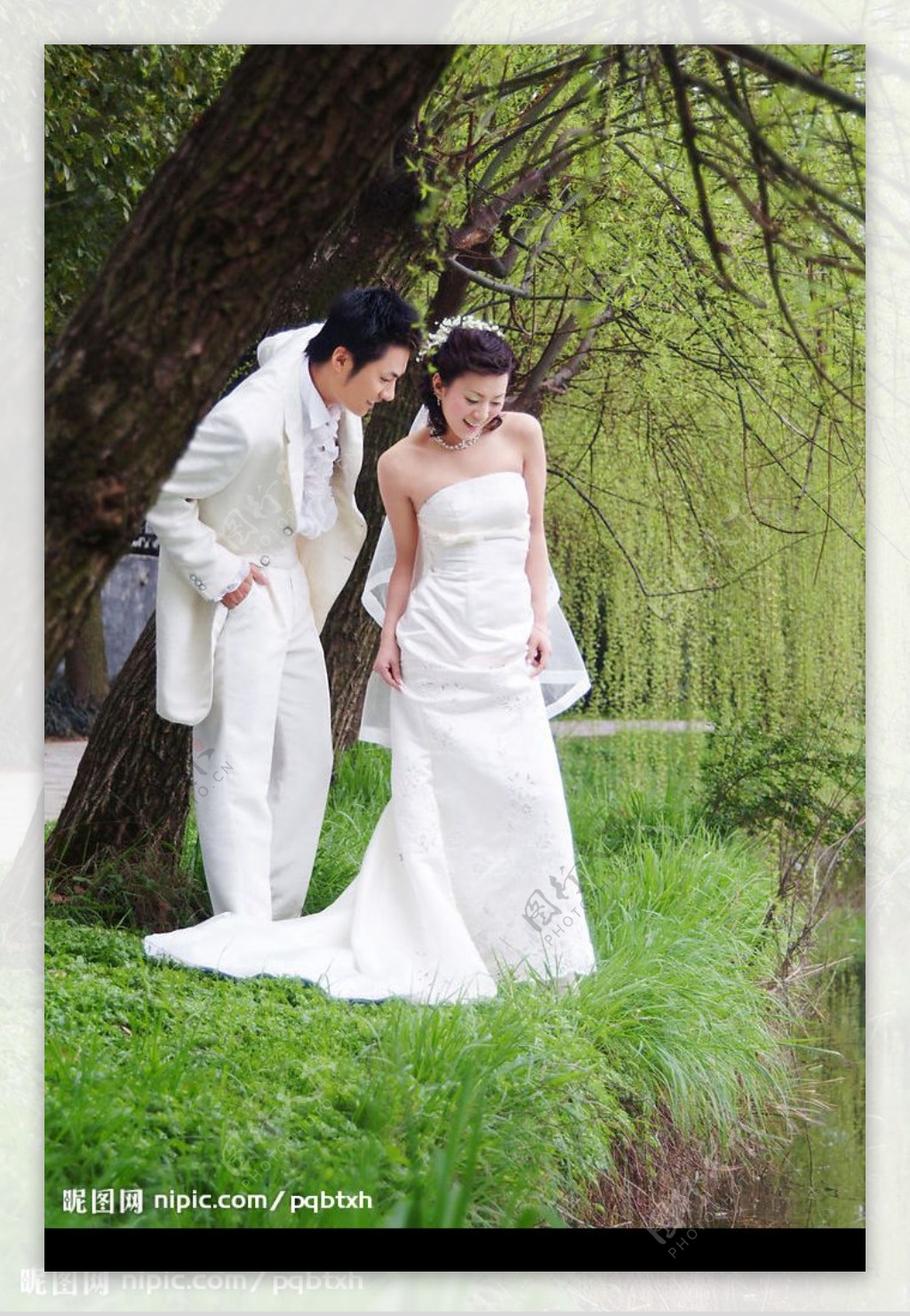 时尚的婚纱青青河边草图片