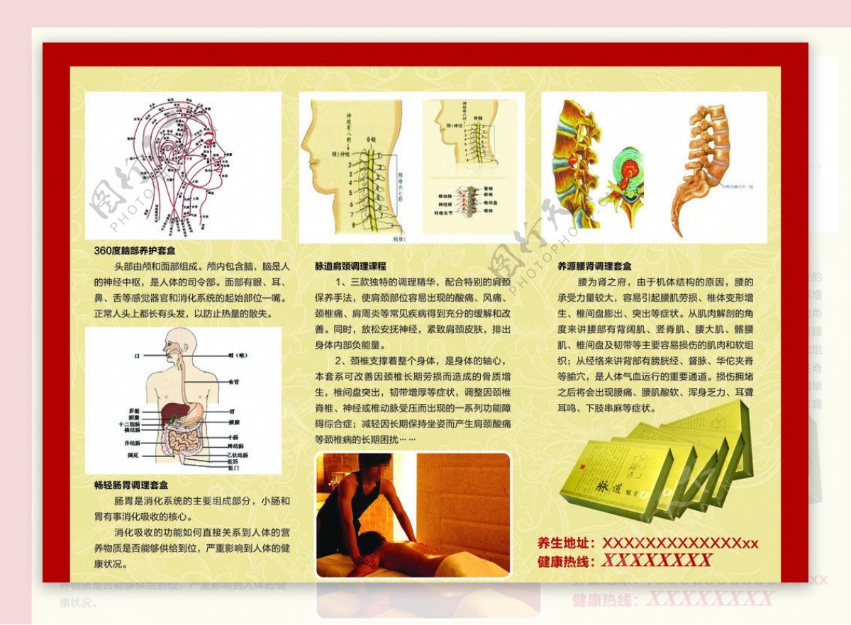 养生彩页图片