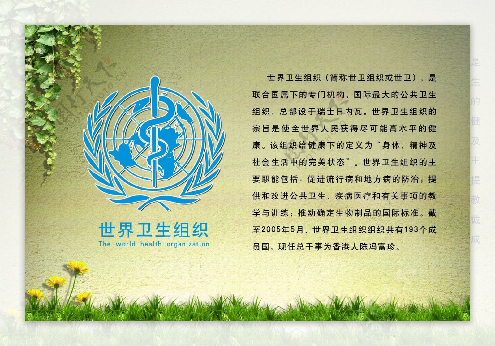 世界卫生组织展板图片
