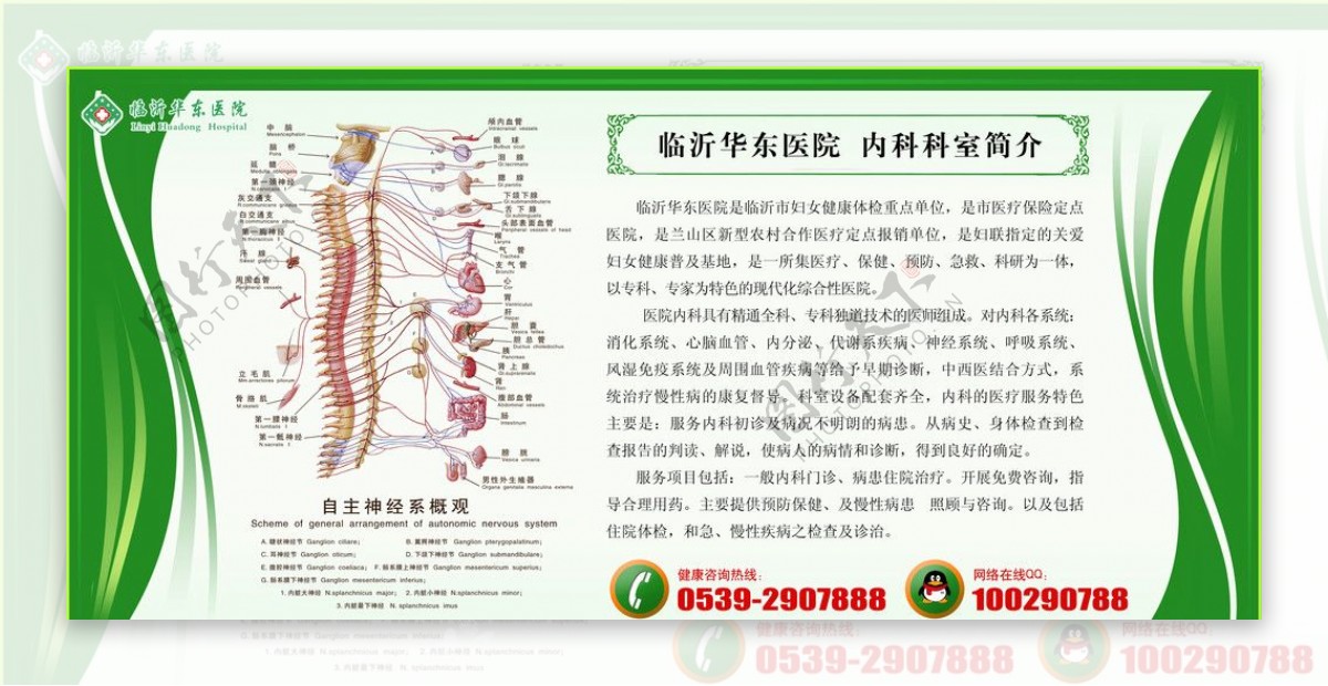 内科展板图片