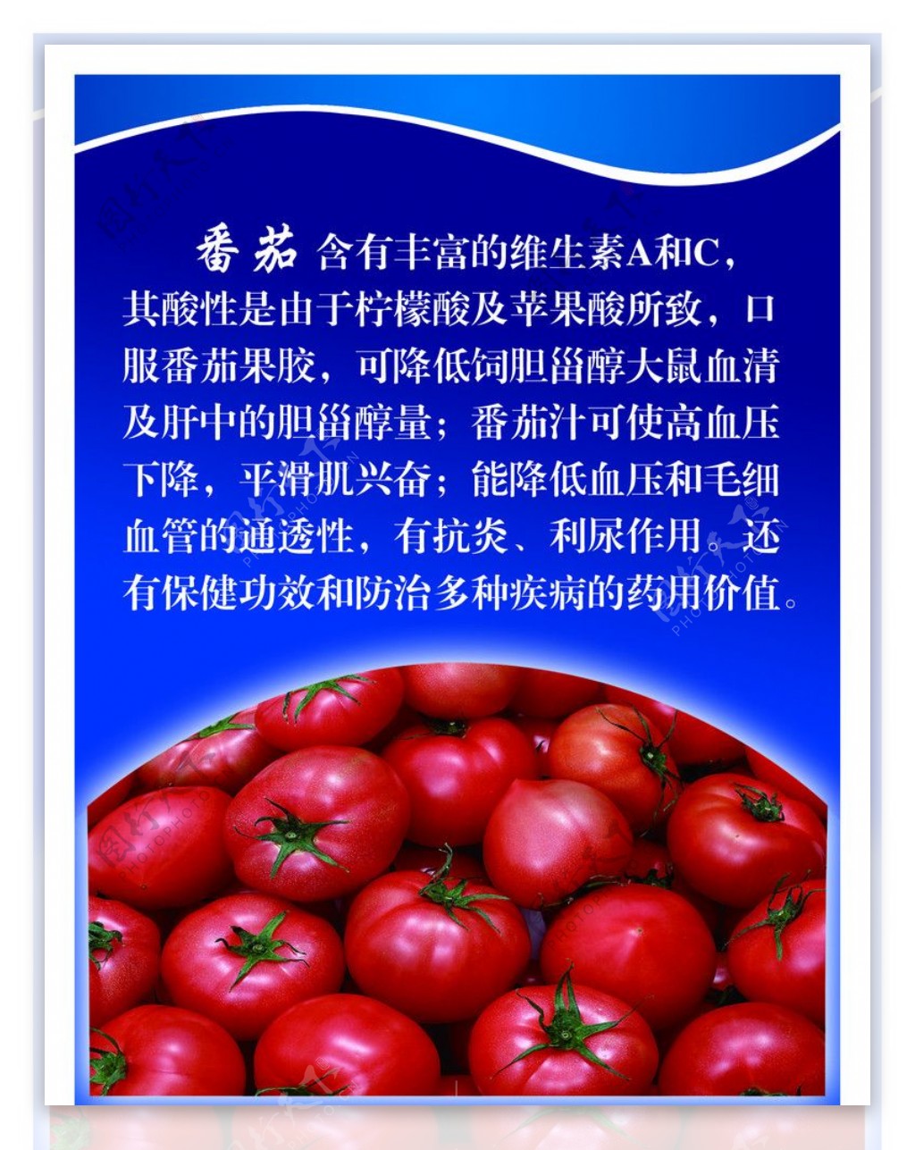 番茄营养价值图片