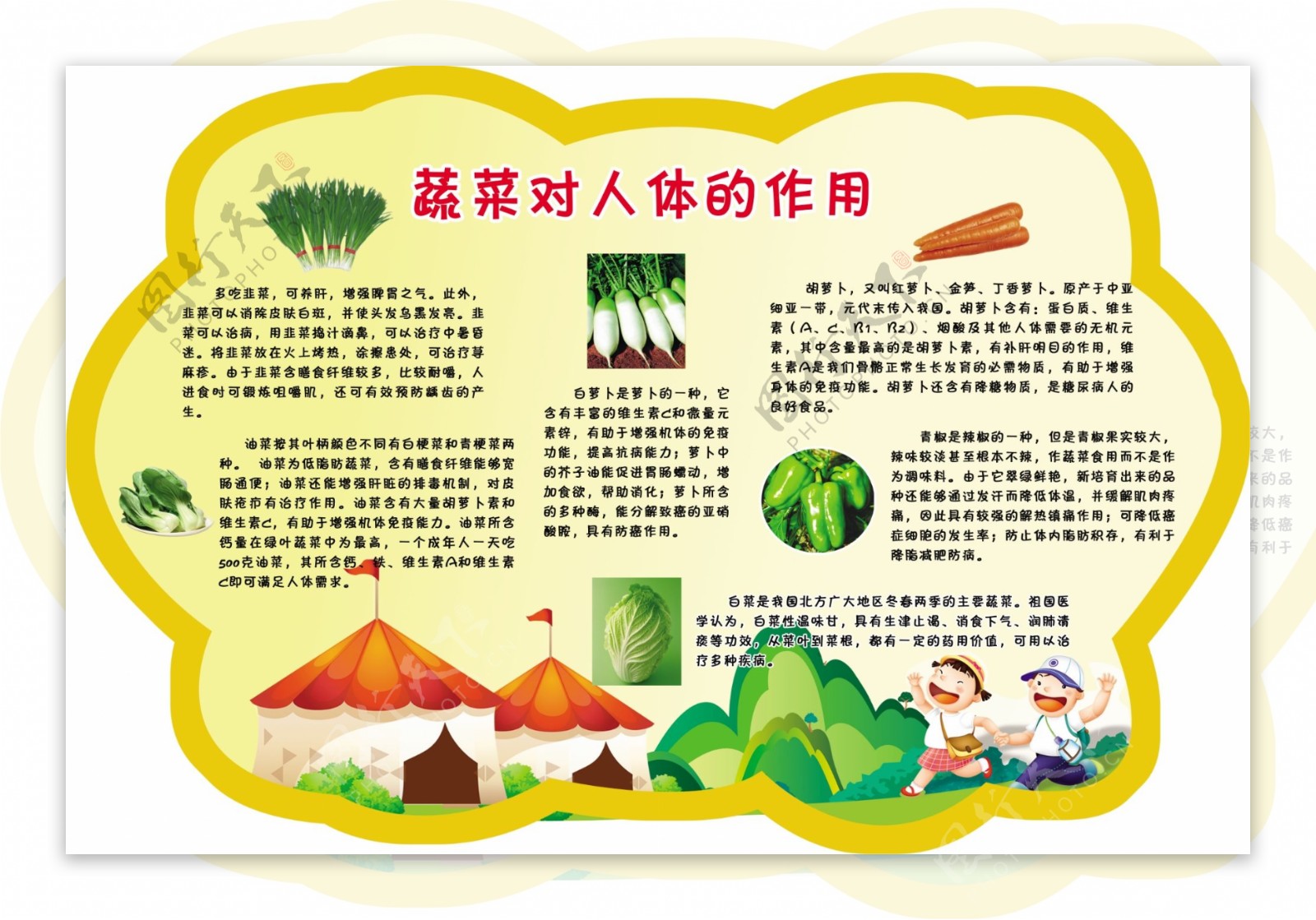 蔬菜的作用知识展板图片