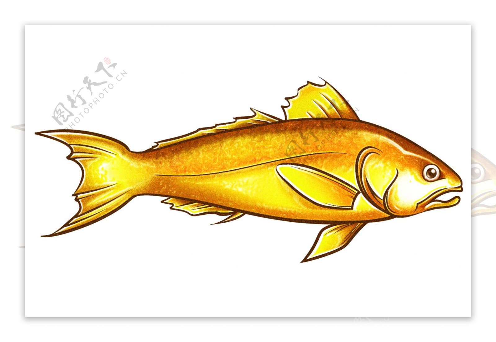 国鱼计划丨“千鱼千寻”！这个团队用芯片选出“最优秀”的大黄鱼